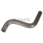 Radiator Coolant Hose