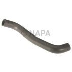 Radiator Coolant Hose