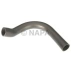 Radiator Coolant Hose