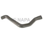 Radiator Coolant Hose