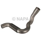 Radiator Coolant Hose