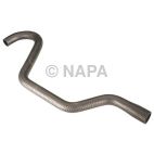 Radiator Coolant Hose