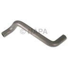 Radiator Coolant Hose