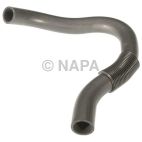 Radiator Coolant Hose