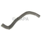 Radiator Coolant Hose