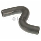 Radiator Coolant Hose