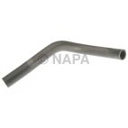 Radiator Coolant Hose