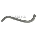 Radiator Coolant Hose