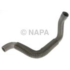 Radiator Coolant Hose