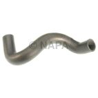 Radiator Coolant Hose