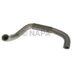 Radiator Coolant Hose