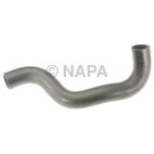 Radiator Coolant Hose