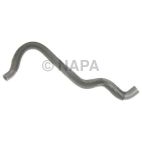 Radiator Coolant Hose