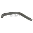 Radiator Coolant Hose
