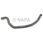 Radiator Coolant Hose