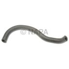 Radiator Coolant Hose