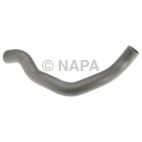 Radiator Coolant Hose