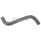 Radiator Coolant Hose