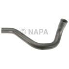 Radiator Coolant Hose
