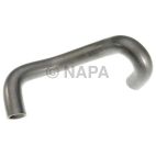 Radiator Coolant Hose