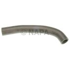 Radiator Coolant Hose