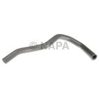 Radiator Coolant Hose