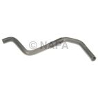 Radiator Coolant Hose
