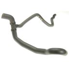 Radiator Coolant Hose