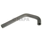 Radiator Coolant Hose