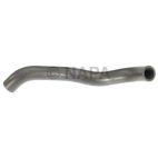Radiator Coolant Hose