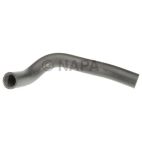 Radiator Coolant Hose