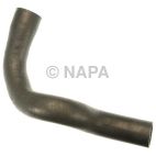 Radiator Coolant Hose