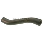 Radiator Coolant Hose