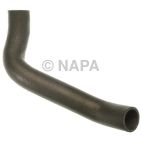 Radiator Coolant Hose