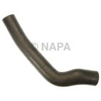 Radiator Coolant Hose