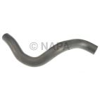 Radiator Coolant Hose
