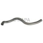 Radiator Coolant Hose