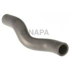 Radiator Coolant Hose