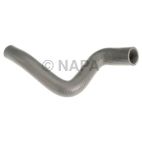 Radiator Coolant Hose