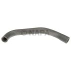 Radiator Coolant Hose