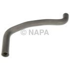 Radiator Coolant Hose