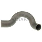Radiator Coolant Hose