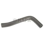 Radiator Coolant Hose