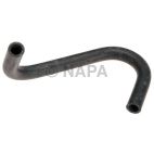 Radiator Coolant Hose