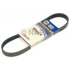 Serpentine Belt