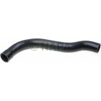Radiator Coolant Hose
