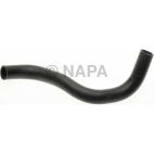 Radiator Coolant Hose