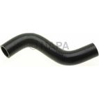 Radiator Coolant Hose