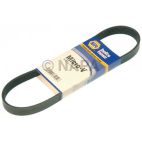 Accessory Drive Belt