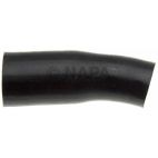 Radiator Coolant Hose